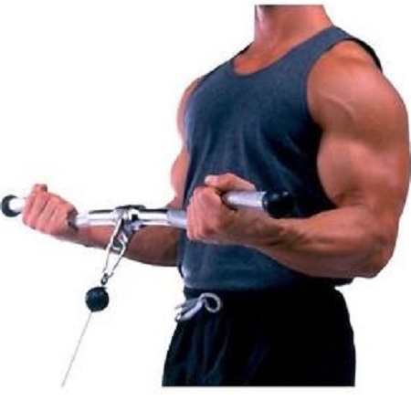troy curl bar
