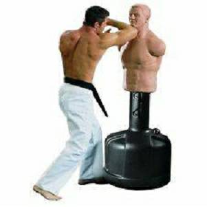 Century Martial Arts BOB Boxing Punching Kicking Torso Heavy Bag