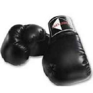 Century Leather Speed Bag Glove Gloves Karate Sparring Punching