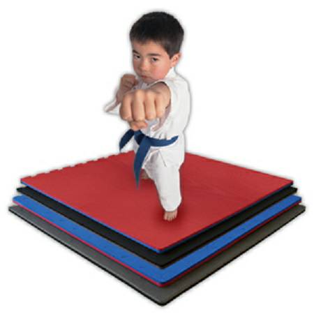 Century Martial Arts MMA Puzzle Mat Mats Dojo Reversibl Flooring