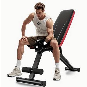 NP Adjustable Flat Incline Decline Dumbbell Workout Bench Chair